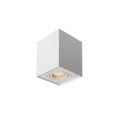 ACB - Technical lighting - Carre PL - Ceiling light with directable spotlight - White - LS-AC-P376210B