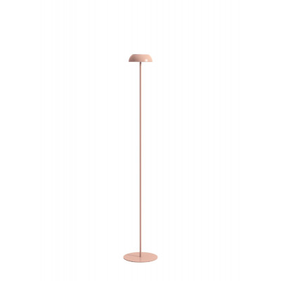Float Pt Led Multifunction Floor Lamp, Copper Floor Lamp Nz