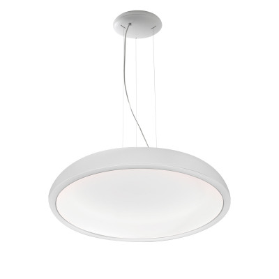 L shaped store ceiling light